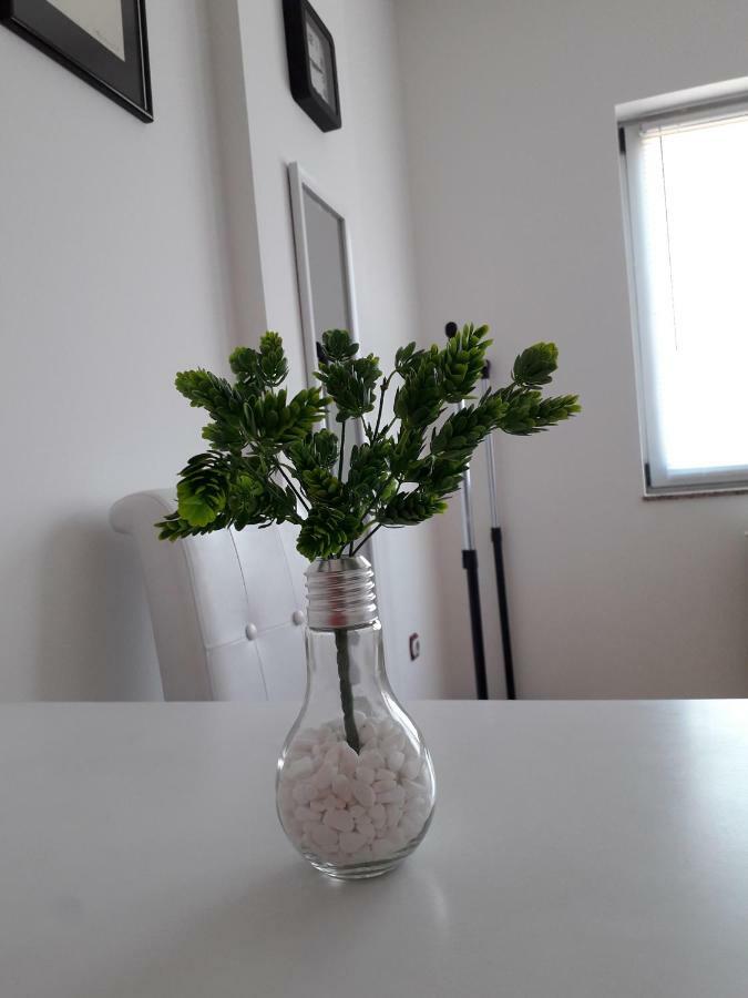 Apartman Dunja Ns 2 노비사드 외부 사진